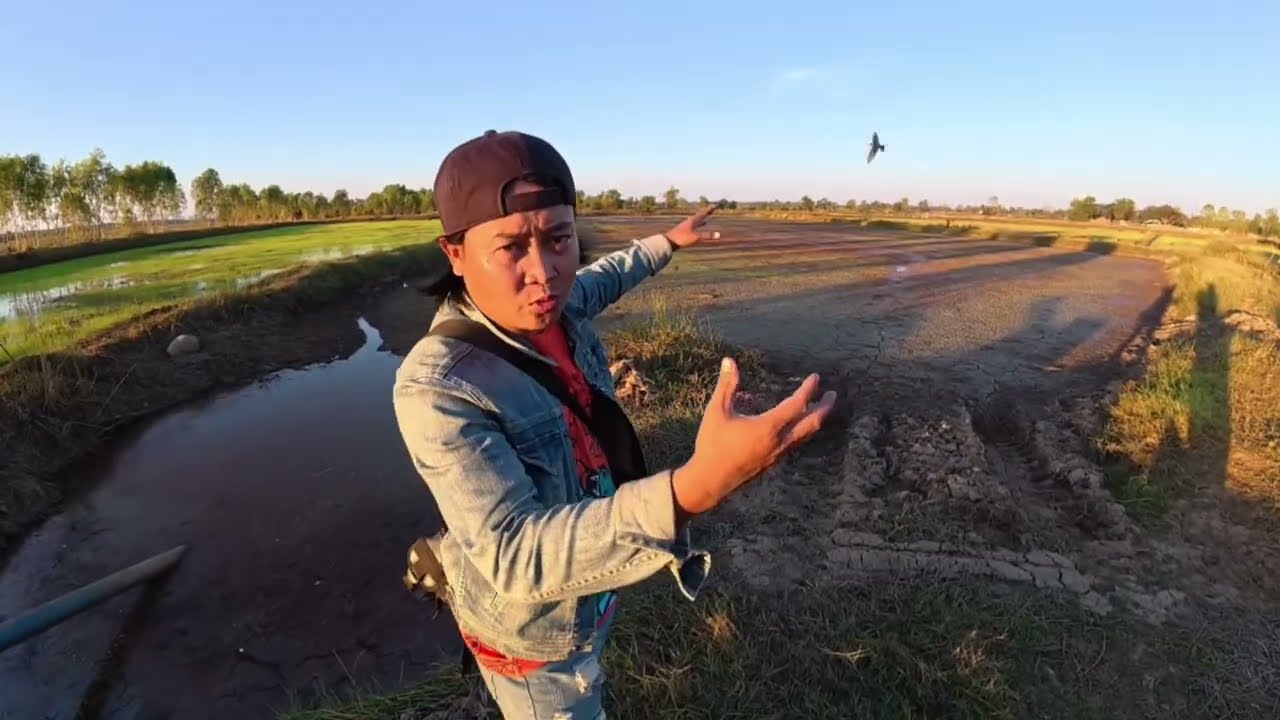 ควายน้ำ บ.นาเพียง