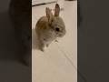 So cute!!!!