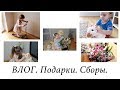 ВЛОГ. ПЕРЕД ПОЕЗДКОЙ. МОРЕ ПОДАРКОВ. НОВЫЙ САМОКАТ. СБОРЫ.  2 часть