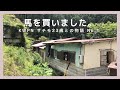 (1)もう引退馬に会えなくなるのは嫌だ。静岡から山形へ輸送を決め、家族に迎えたサチモを待つ。#引退馬支援