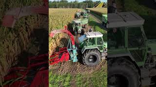 Maishäckseln mit Traktor Fendt Favorit 614 LSA &amp; Feldhäcksler - Großevent mit 50 Traktoren - Teil1