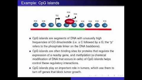 CpG Islands   Lec - Intro to Bioinformatics (UCLA)