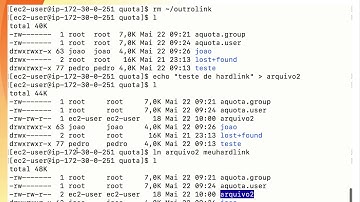 Tópico 5.4 - Diretórios e arquivos especiais - LPI Linux Essentials