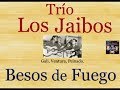 Trío Los Jaibos:  Besos de Fuego  -  (letra y acordes)