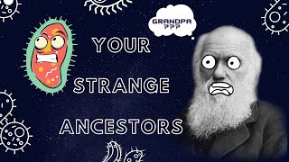 MEET YOUR ANCESTORS (ALL OF THEM!)