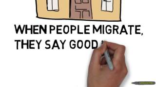 Migration video for primary school