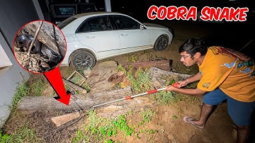 Studio Me Cobra Snake Ghus Gaya | Venomous Snake in Car