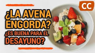 ¿La AVENA ENGORDA? ¿Es BUENA para el DESAYUNO? | Ciencia de la Comida by Ciencia de la Comida 1,738 views 2 months ago 7 minutes, 5 seconds