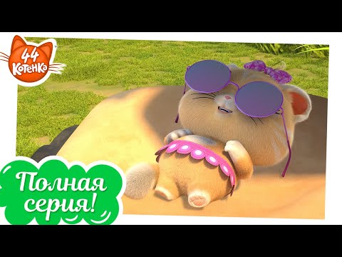 44 Котёнка |