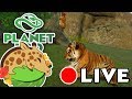 Breeding Tumbling Tiger Cubs!! 🐯 Eye of the Tiger Special! • Daily Planet Zoo • Day 6