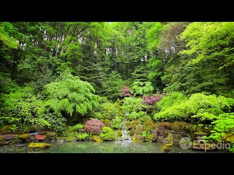 Video: La guía completa de la gruta en Portland