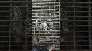 chilling tower maintenance