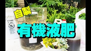 自製有機液體肥料，植物吃了長得又肥又壯，做一桶用一年 