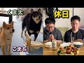 皆んなで部屋を模様替えして肉を食べる休日
