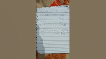 step to use macros in MS word