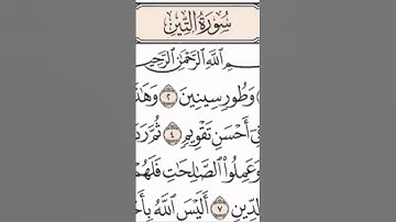 سورة التين كاملة بصوت الشيخ ياسر الدوسري❤️