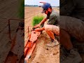 Great techniques harvesting and seedingagriculture relaxing shorts relaxing monty