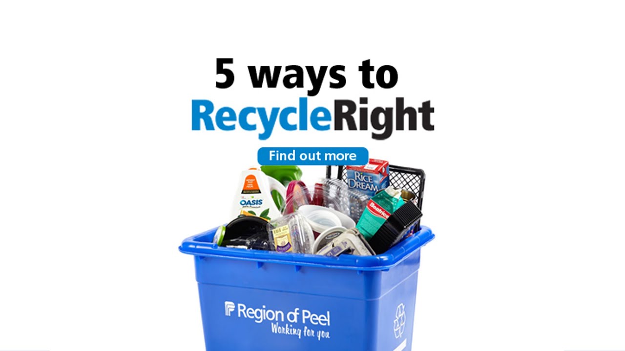 helping you recycle right live