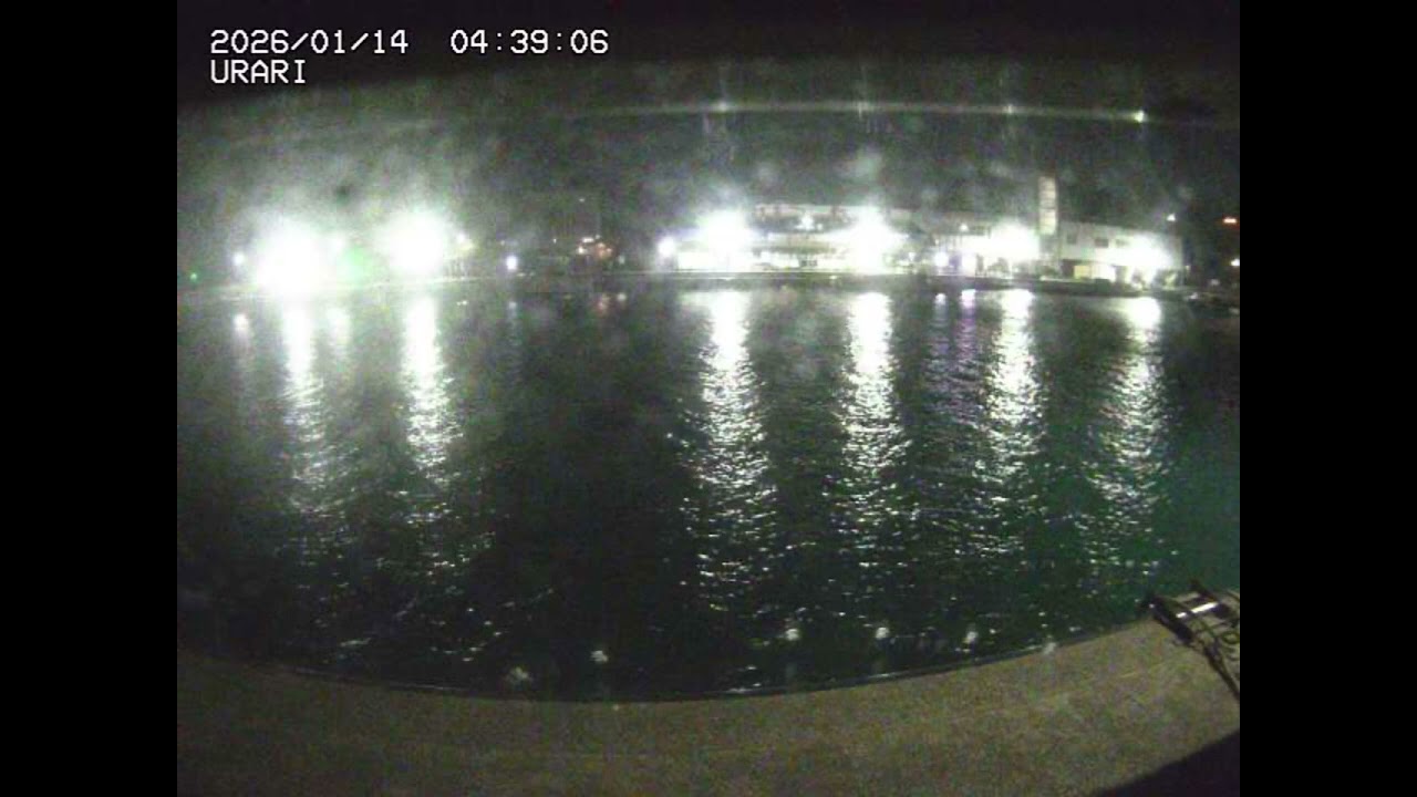 SURGANG X EVILGIANE TYPE BEAT "WINTER"