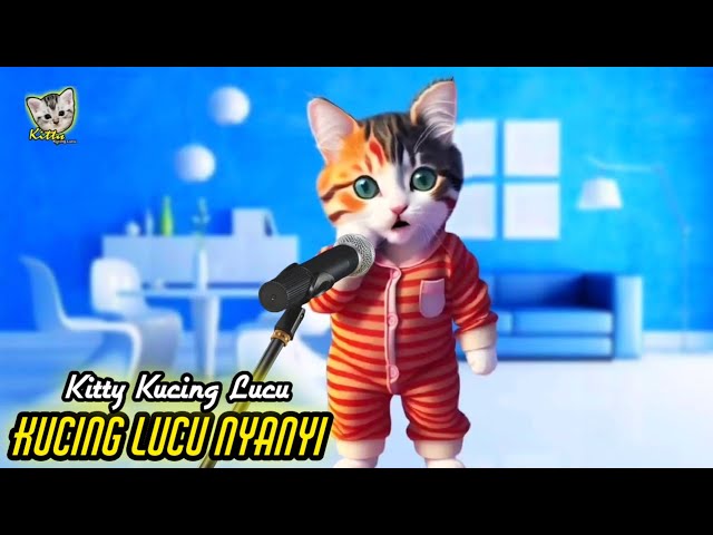 KUCING LUCU NYANYI SHOLAWAT ALLAH KARIM|| Kitty Kucing Lucu class=