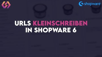 URLs in Shopware 6 klein schreiben! Shopware 6 SEO Anpassen
