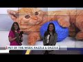 NFL offseason recap, Chic Fil-A opening, Trump's vaccine order