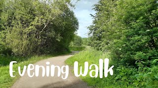 Evening walk at Pennington Flash - May 2023