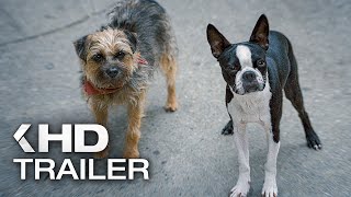 STRAYS Trailer 2 (2023)