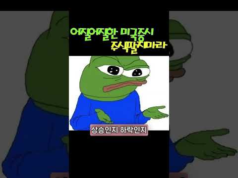 어질어질한 미국증시 주식팔지마라 (트럼프, 은행파산)