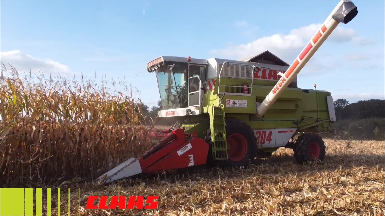 Moisson de maïs 2021 #Claas Dominator MEGA 204 #moisson