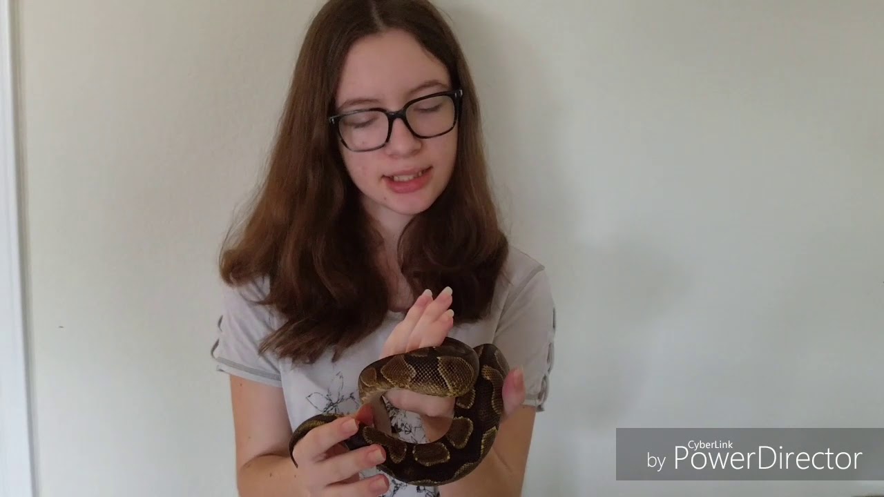 joe mixon Our pets part 2