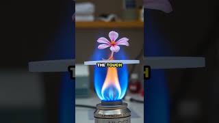 Famous The Magic of Aerogel: The Lightest Solid on Earth! ✨ Wealth