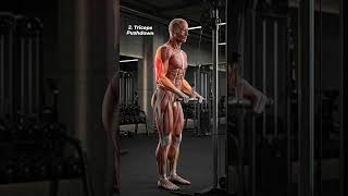 2️⃣ Triceps Pushdown | Triceps Muscle Activation Anatomy 🔥 #TricepsPushdown #tricepsworkout