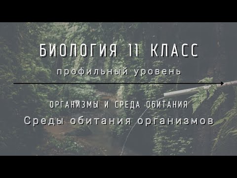 Биология 11 кл Теремов §43 Среды обитания организмов
