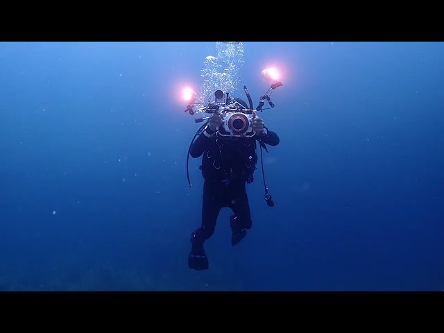 南越前ブルー