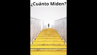 ¿Cuál es la medida de un ESCALÓN?