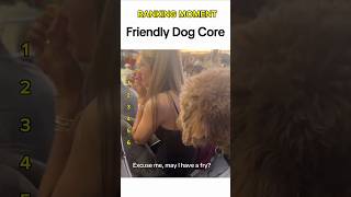 Dogs being idiots part 4 🤣 #funnydog #funnypet #cutedog #dogshorts