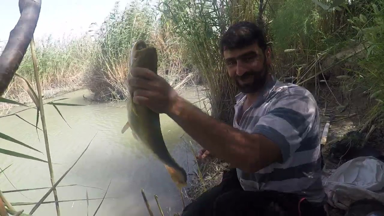 #صيد الكارب#اكسبلور #شعر #الشعب #