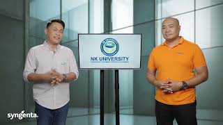 NK University Special || NK VIP Bt Trait Technology #NKVIP #VIProtekTODO #TiwalaSaNK