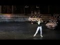 Sergei Polunin - Don Quixote 14.12.2012