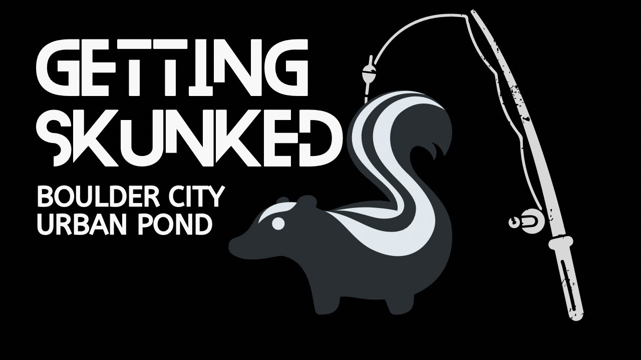 Getting Skunked at Boulder City Urban Pond
