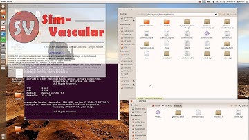 How to prescribe inflow (Dirichlet) boundary condition
