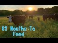 Our Daily Farm Routine | Life On A Homestead |