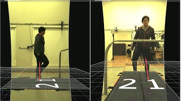 Demo of overlayed force vectors in Vicon Nexus using our Bertec Treadmill