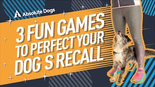3 FUN GAMES to PERFECT your DOG'S RECALL
