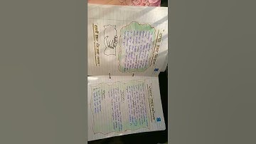 scout guide file... #btc #deled_batch#b.ed डी. एल. एड बी. टी. सी स्कॉउट गाइड फाइल...