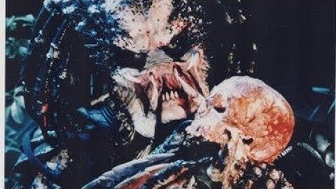 AVP 2 - Life Cycle 1