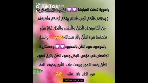 مشاعر وفوائد والحب في سور القرآن الكريم الحب لسورة فصلت #القرآن_نور_للقلوب_وشفاء_للصدور