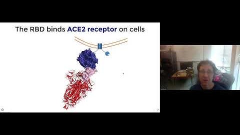 Science of COVID-19: Evolutionary Potential of the SARS-CoV-2 Receptor Binding Domain (RBD)