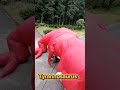 Dinosaur shooting game event production / Tyrannosaurus Inflatable / 恐竜シューティング ティラノサウルス #Dinosaur